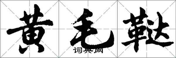 胡问遂黄毛鞑行书怎么写