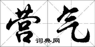 胡问遂营气行书怎么写