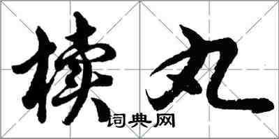 胡问遂椟丸行书怎么写