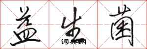 骆恒光益生菌行书怎么写