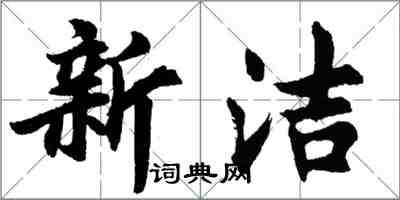 胡问遂新洁行书怎么写