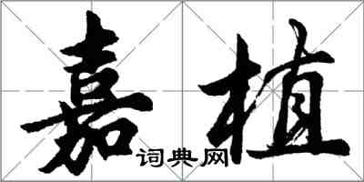 胡问遂嘉植行书怎么写