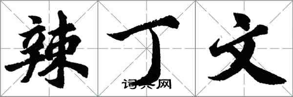 胡问遂辣丁文行书怎么写