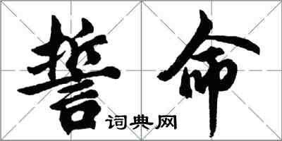 胡问遂誓命行书怎么写