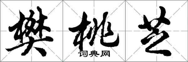 胡问遂樊桃芝行书怎么写