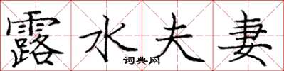 庞中华露水夫妻楷书怎么写