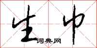钱沛云生巾行书怎么写