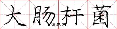 庞中华大肠杆菌楷书怎么写