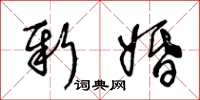 王冬龄新婚草书怎么写