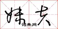 王冬龄妹夫草书怎么写