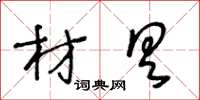 王冬龄材具草书怎么写
