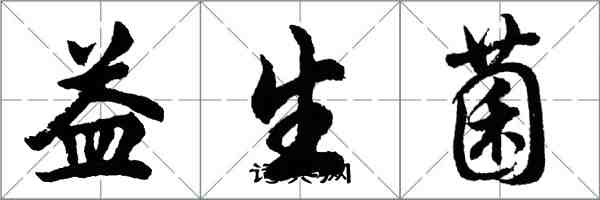 胡问遂益生菌行书怎么写