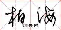 王冬龄柏海草书怎么写