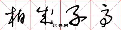 王冬龄柏成子高草书怎么写