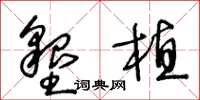 王冬龄垦植草书怎么写