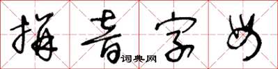 王冬龄拼音字母草书怎么写