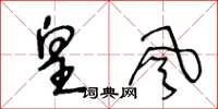 王冬龄皇风草书怎么写