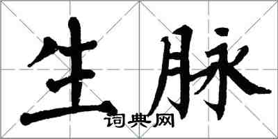 翁闿运生脉楷书怎么写