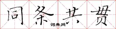 黄华生同条共贯楷书怎么写