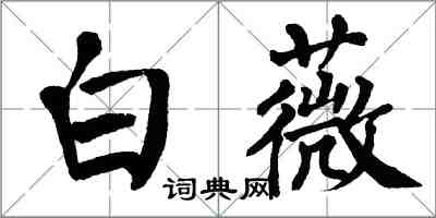 翁闿运白薇楷书怎么写