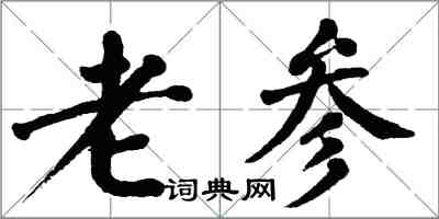 翁闿运老参楷书怎么写