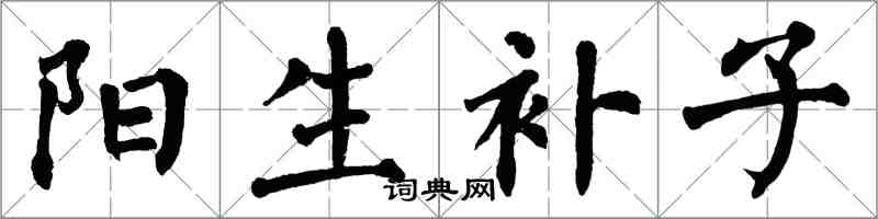 翁闿运阳生补子楷书怎么写