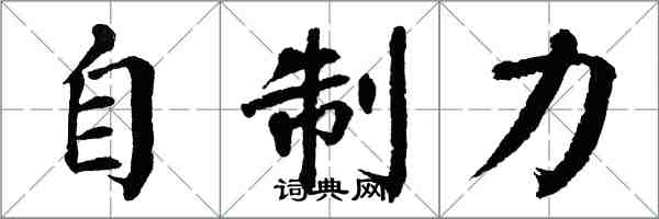 翁闿运自制力楷书怎么写