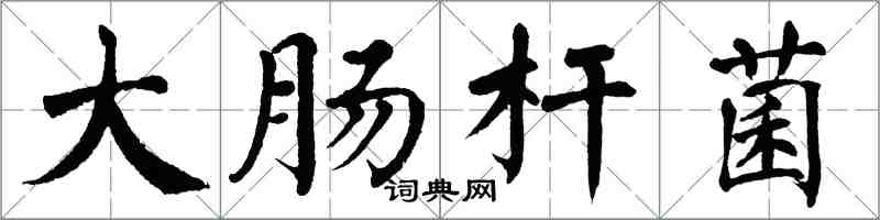 翁闿运大肠杆菌楷书怎么写