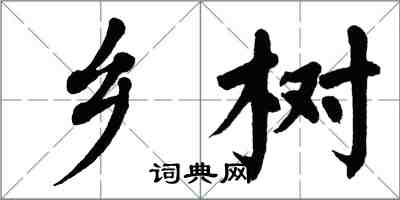 翁闿运乡树楷书怎么写