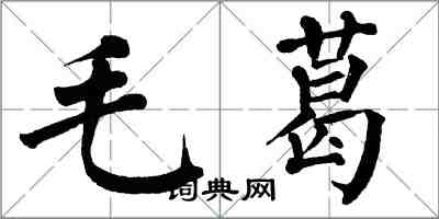 翁闿运毛葛楷书怎么写