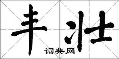 翁闿运丰壮楷书怎么写