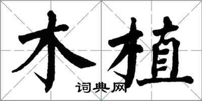 翁闿运木植楷书怎么写