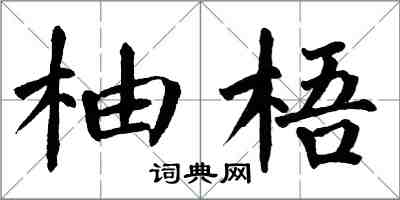 翁闿运柚梧楷书怎么写