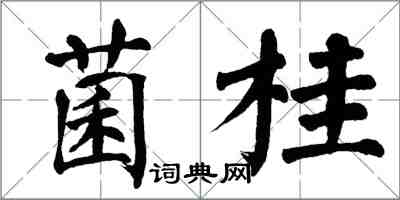 翁闿运菌桂楷书怎么写
