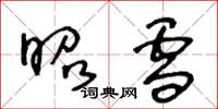 王冬龄昭雪草书怎么写