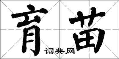 翁闿运育苗楷书怎么写
