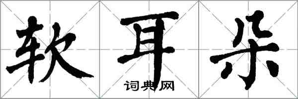 翁闿运软耳朵楷书怎么写