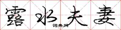 庞中华露水夫妻行书怎么写
