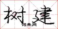 庞中华树建行书怎么写