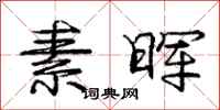 庞中华素晖行书怎么写