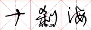王冬龄十刹海草书怎么写
