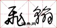王冬龄飞翰草书怎么写