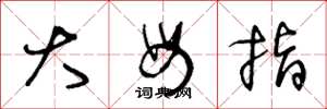 王冬龄大母指草书怎么写