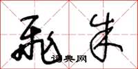 王冬龄飞朱草书怎么写