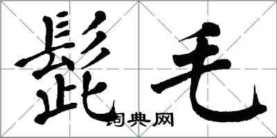 翁闿运髭毛楷书怎么写