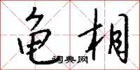 钱沛云龟相行书怎么写