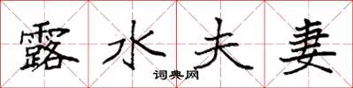 袁强露水夫妻楷书怎么写