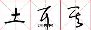 王冬龄土耳其草书怎么写