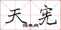 袁强天宪楷书怎么写