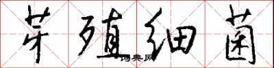 钱沛云芽殖细菌行书怎么写